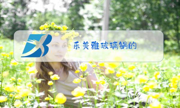 乐美雅玻璃锅的 优缺点图片